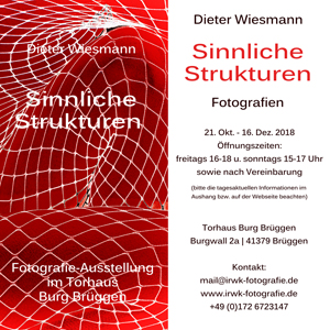 Ausstellung. Sinnliche Strukturen